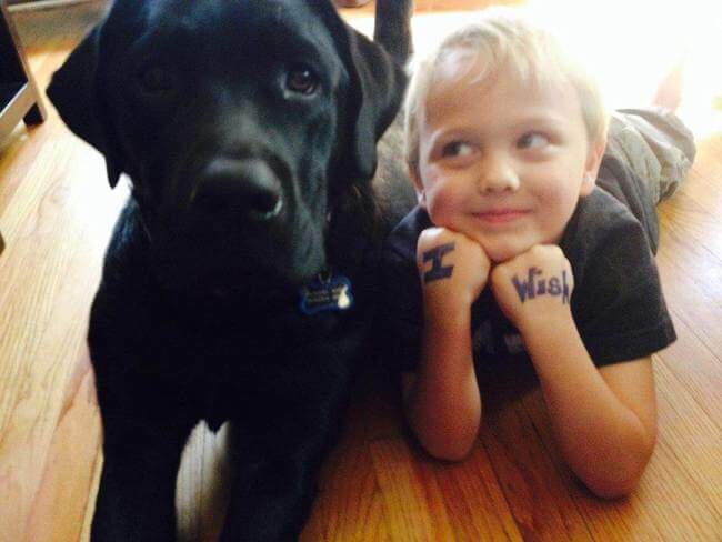 Jedi the dog saves the life of 7-year-old boy 2