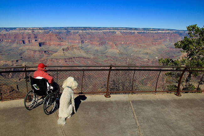 90-Year-Old grandma road trip