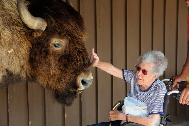 90 year old grandma road trip 17