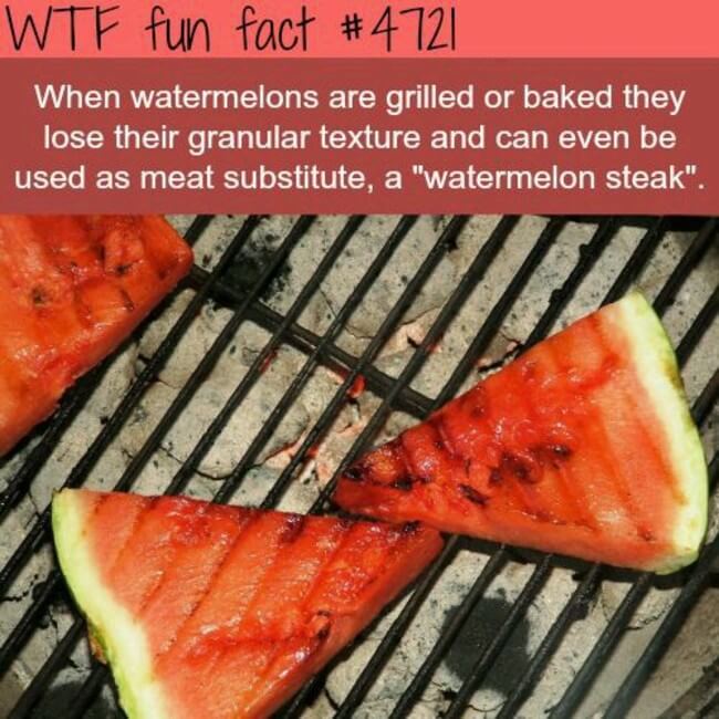 27 Interesting Short Facts That Will Make You a Little Bit Smarter