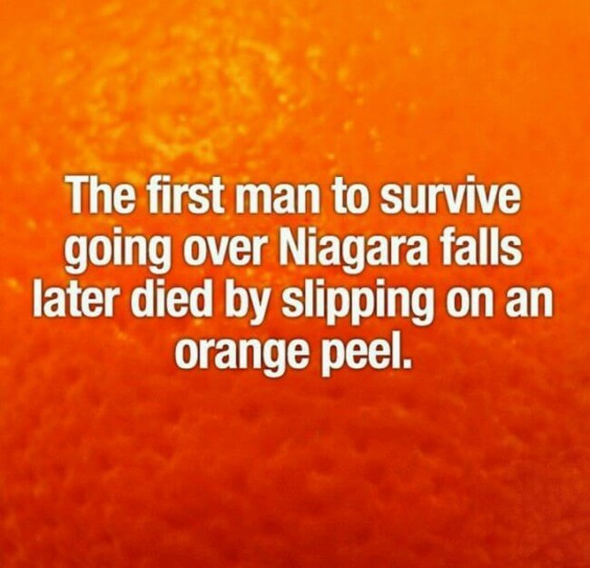 27 Interesting Short Facts That Will Make You A Little Bit Smarter 