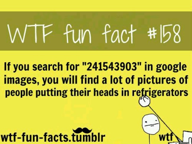 real fun facts 19