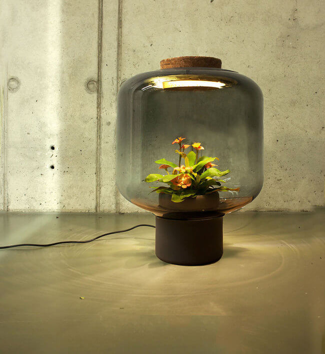Innovative Lamps Can Grow Plants Even In The Darkest Corners 2