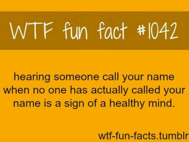 real fun facts 14