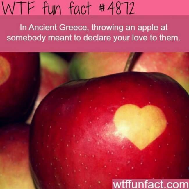 27 Interesting Short Facts That Will Make You A Little Bit Smarter 