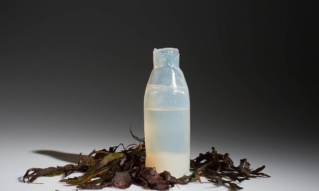 Biodegradable Algae Water Bottles 2