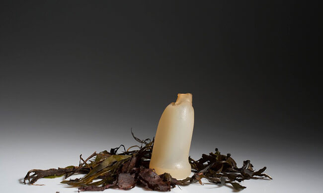 Biodegradable Algae Water Bottles 4