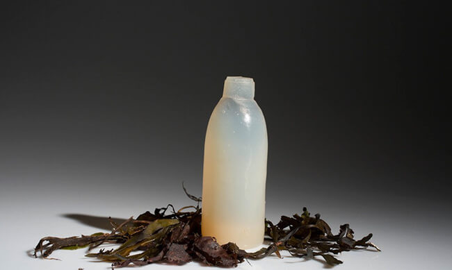Biodegradable Algae Water Bottles 3