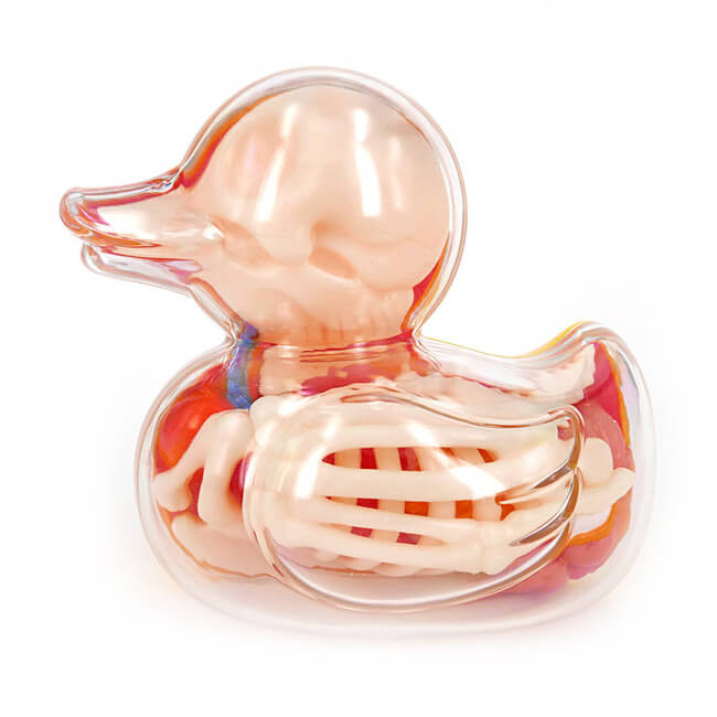 Anatomical Balloon animals 6