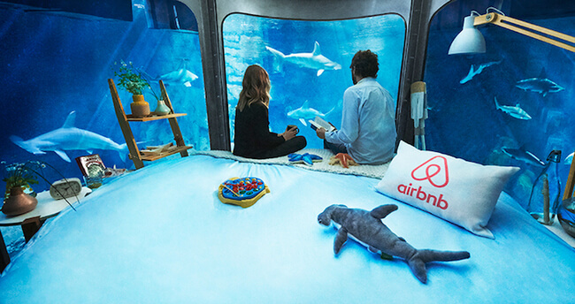 Paris Aquarium Lets Guests Sleep in Submerged Glass Room Surrounded by 35 Sharks 3