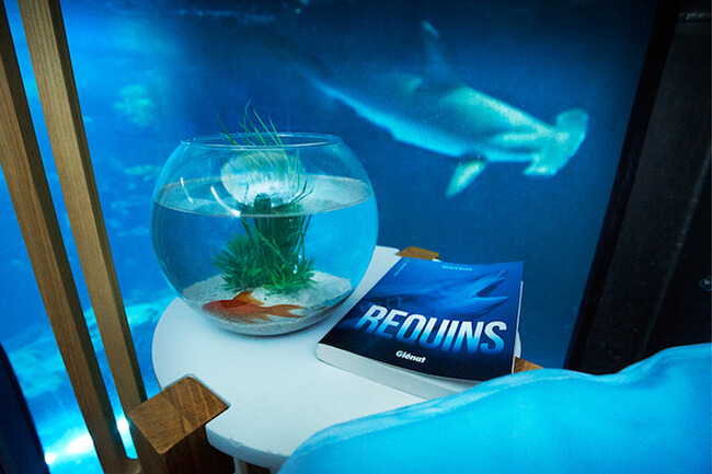 Paris Aquarium Lets Guests Sleep in Submerged Glass Room Surrounded by 35 Sharks 4