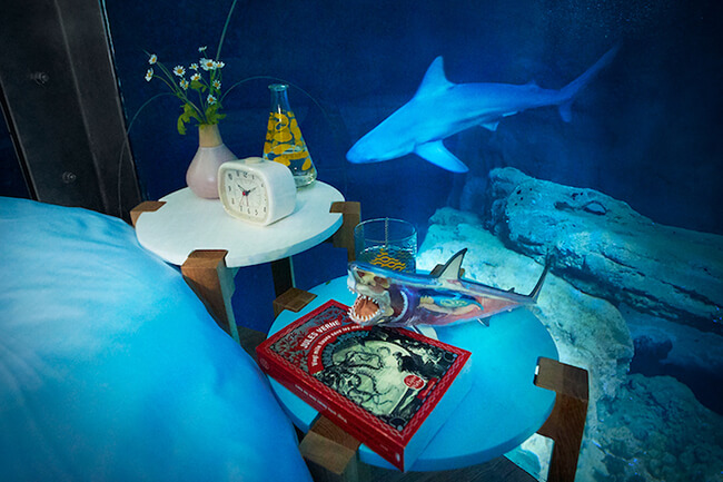 Paris Aquarium Lets Guests Sleep in Submerged Glass Room Surrounded by 35 Sharks 5