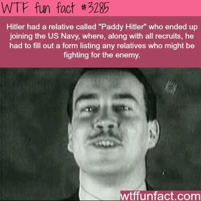 interesting short fact 8