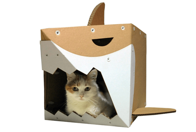 Cardboard Boxes for cats 5