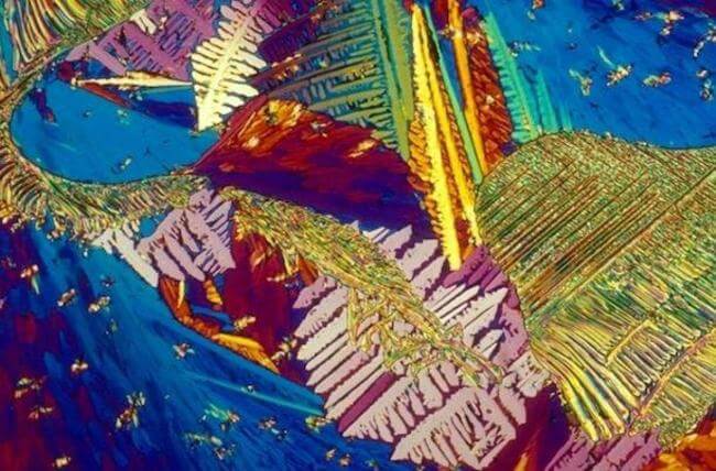 HOW ALCOHOLIC DRINKS LOOK UNDER MICROSCOPE 13