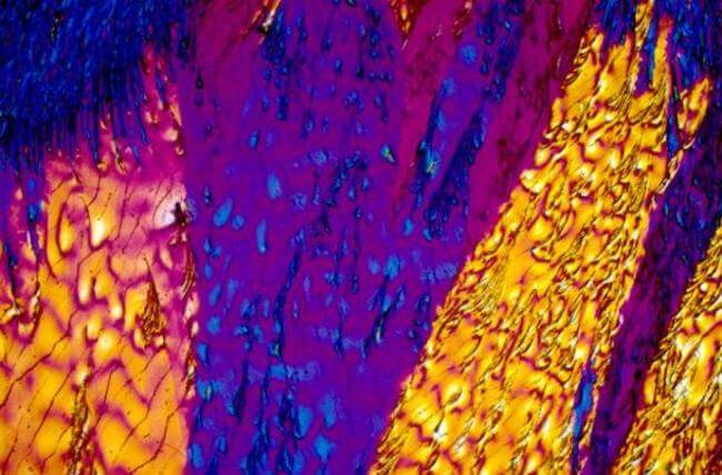 HOW ALCOHOLIC DRINKS LOOK UNDER MICROSCOPE 5