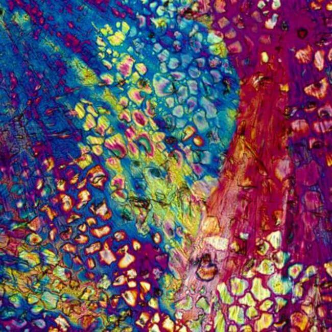 HOW ALCOHOLIC DRINKS LOOK UNDER MICROSCOPE 14