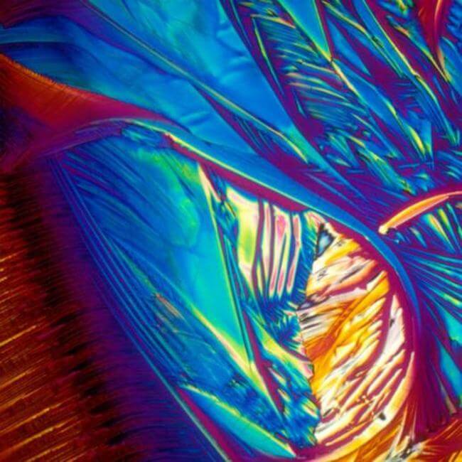 HOW ALCOHOLIC DRINKS LOOK UNDER MICROSCOPE 6