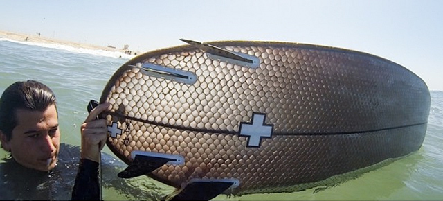 Cardboard Surfboard