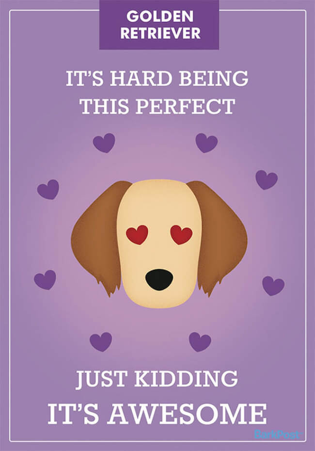 Honest Dog Breed Slogans 2