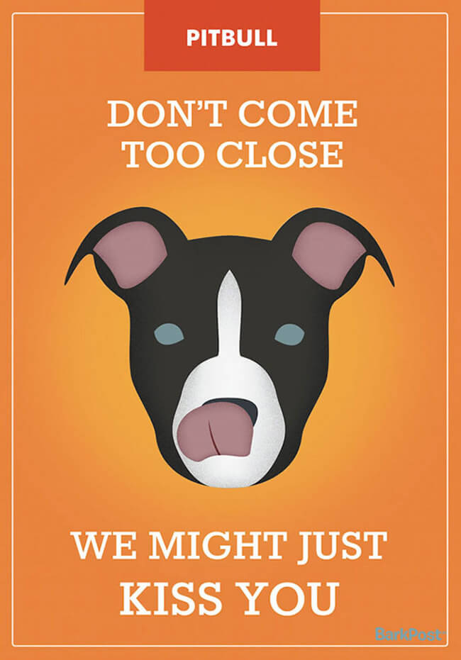 Honest Dog Stereotypes Slogans 1