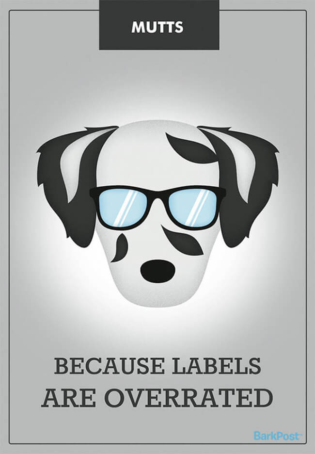 Honest Dog Breed Slogans 4