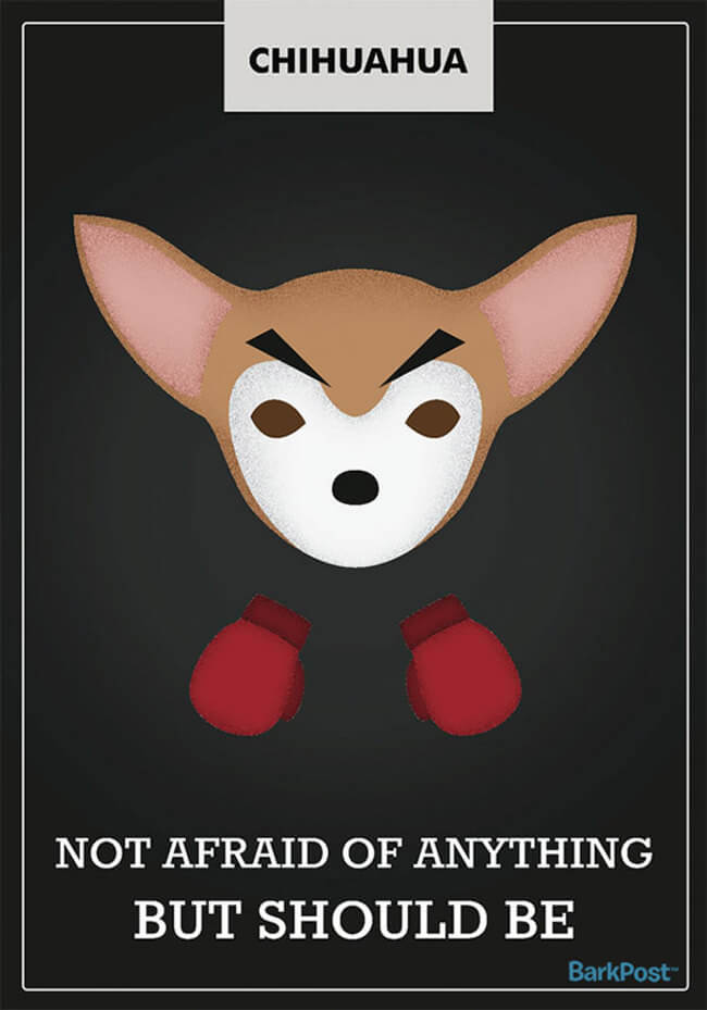 Honest Dog Breed Slogans 5