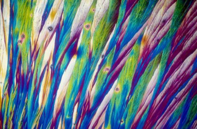 HOW ALCOHOLIC DRINKS LOOK UNDER MICROSCOPE 12