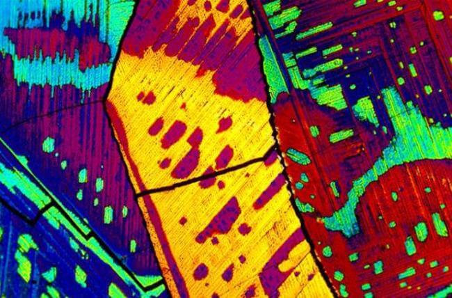 HOW ALCOHOLIC DRINKS LOOK UNDER MICROSCOPE 4