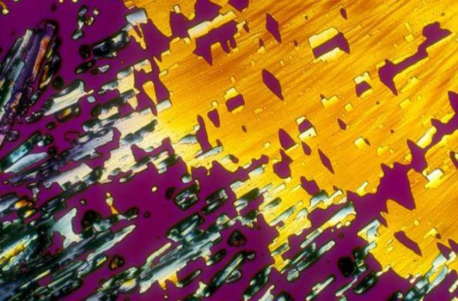 HOW ALCOHOLIC DRINKS LOOK UNDER MICROSCOPE 18