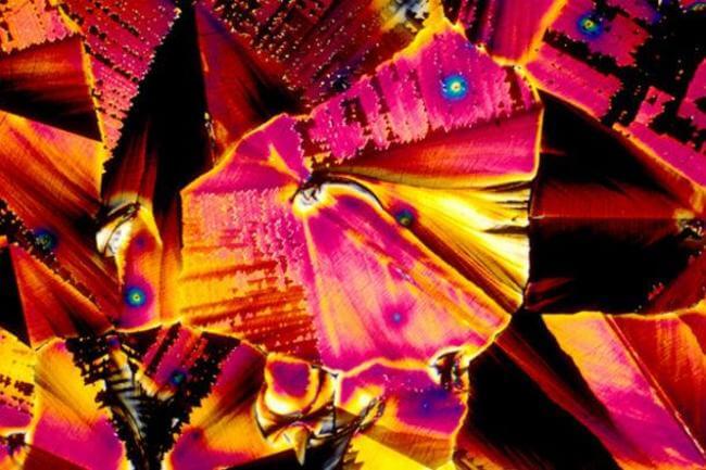 How Your Favorite Alcoholic Drinks Look Under a Microscope 2