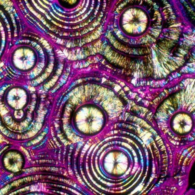 HOW ALCOHOLIC DRINKS LOOK UNDER MICROSCOPE 15