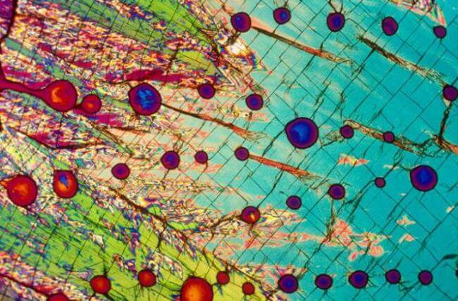 HOW ALCOHOLIC DRINKS LOOK UNDER MICROSCOPE 11