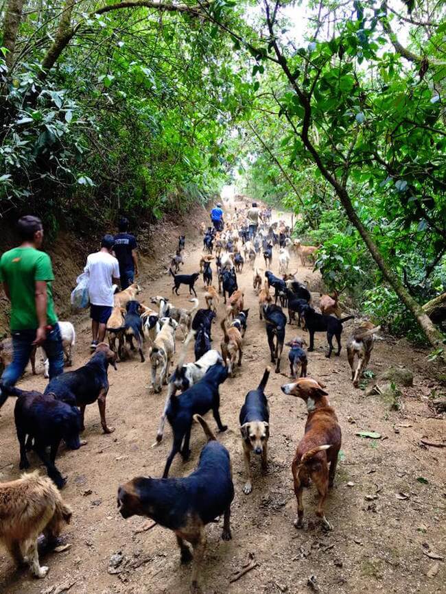 Territorio de Zaguates 5