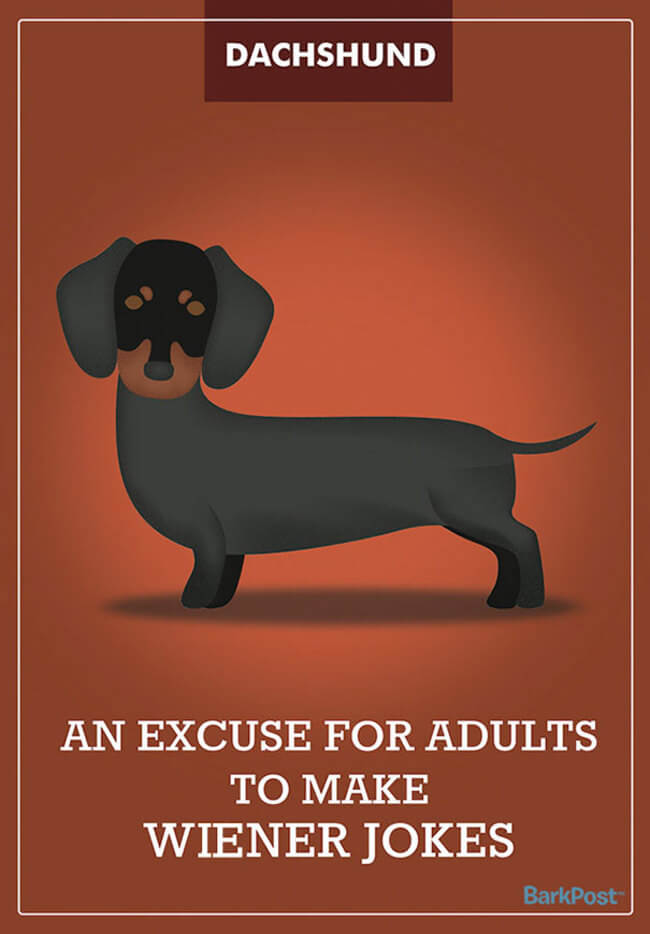 Honest Dog Breed Slogans 3