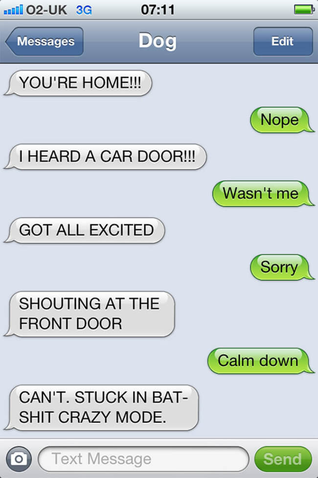 If Only Dogs Could Talk Here Are 27 Hilarious Texts From Dog