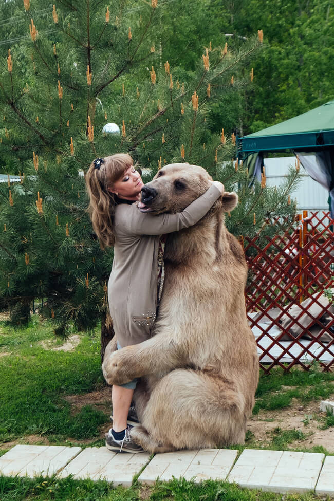 russian-couple-has-bear-as-a-pet-and-laughs-at-the-face-of-death