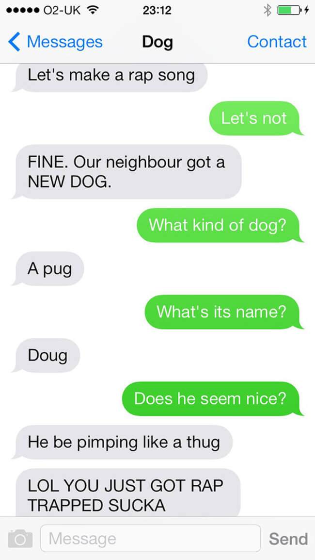 texts from funny dogs 13