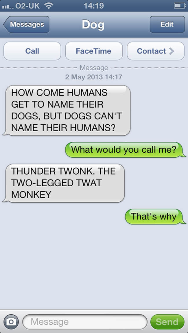 texts your dog would send 19