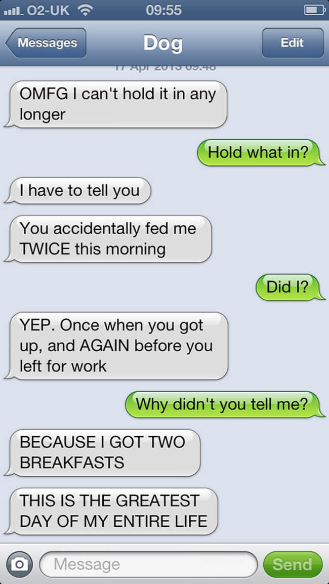 If Only Dogs Could Talk, Here Are 27 Hilarious Texts From Dog