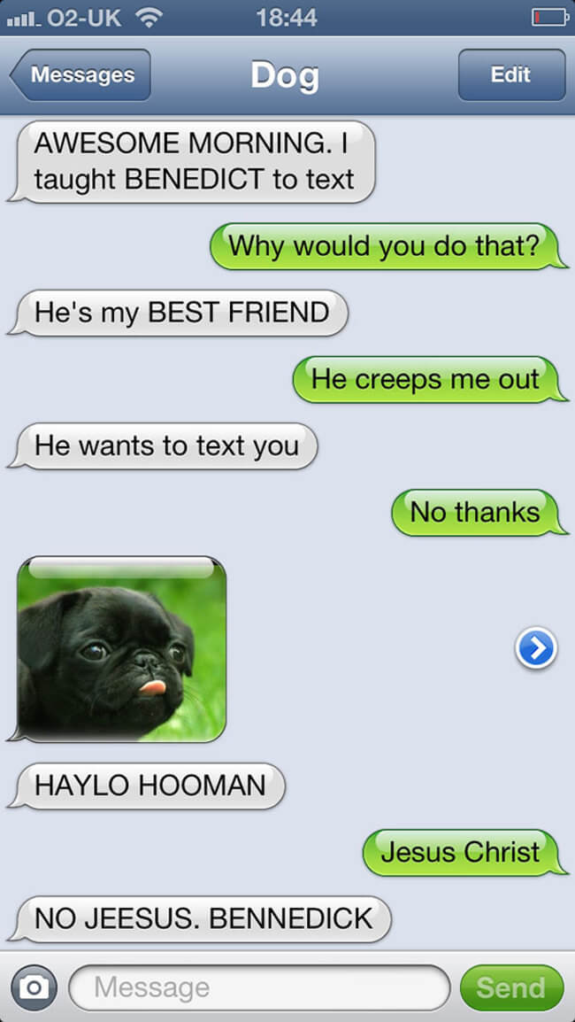 texts from funny dogs 12