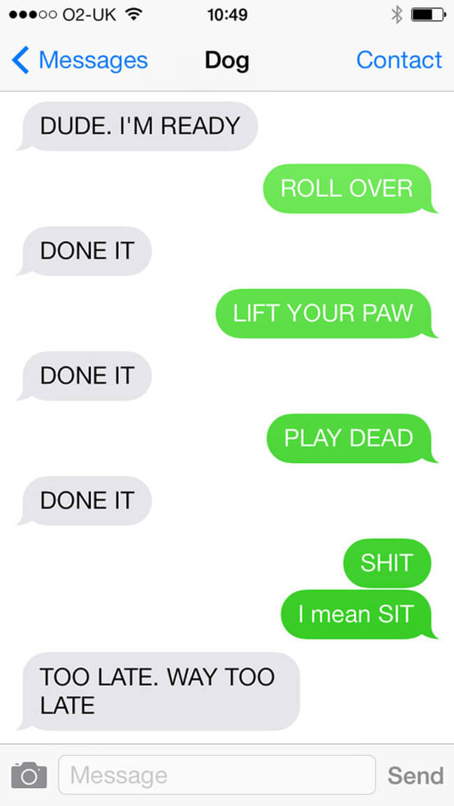 If Only Dogs Could Talk Here Are 27 Hilarious Texts From Dog