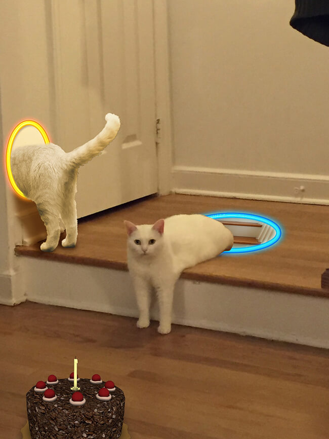 Half Cat photoshop battle 4