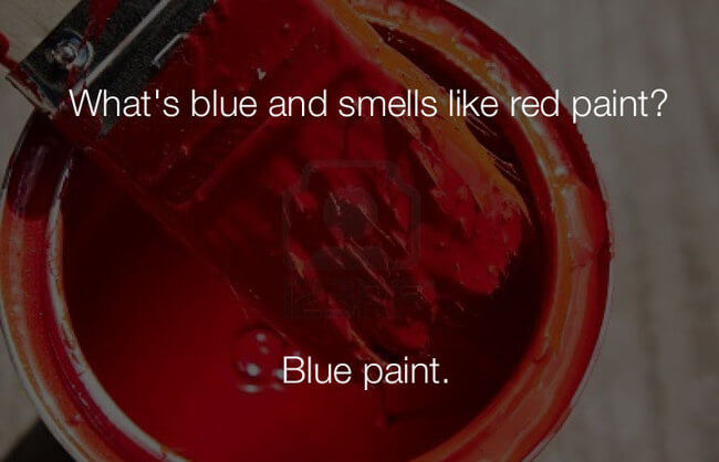 stupid haha jokes - whats blue and smells like red paint28