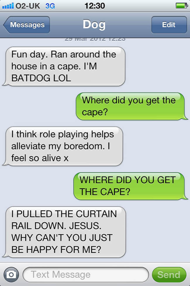 texts from your dog 24