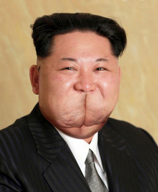 Newly Released Portrait Of Kim Jong-un 15