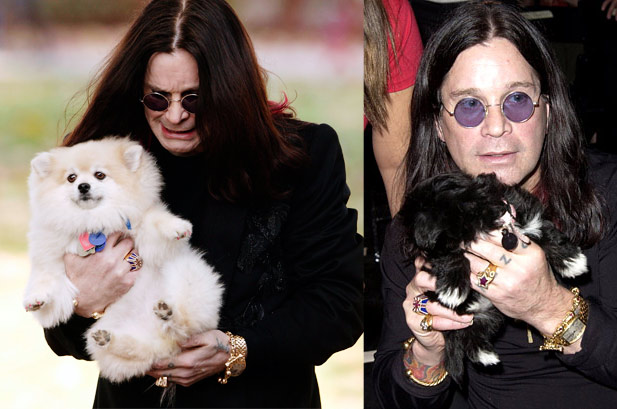 ozzy osbourne dogs