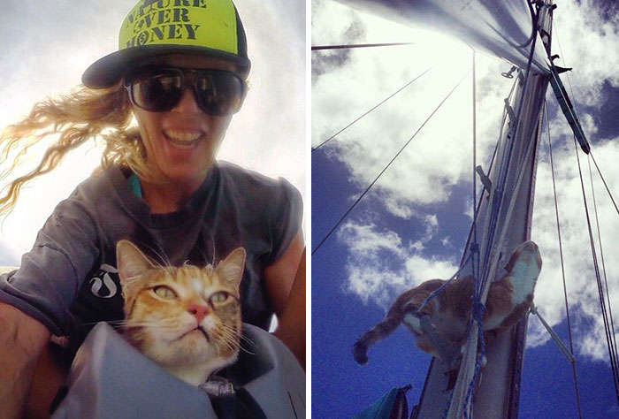 sailing-cat-travelling-world 20