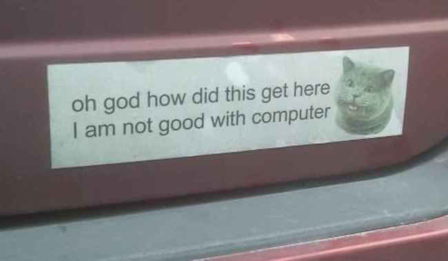 hilarious bumper stickers 4