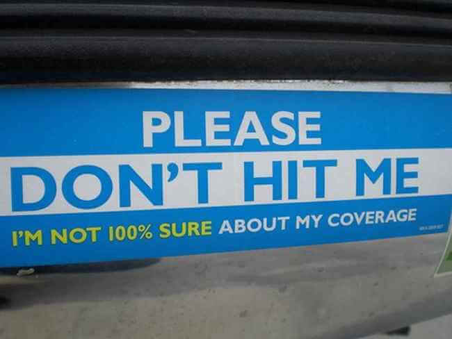 hilarious bumper stickers 5